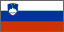 Bandeira da Eslovnia